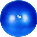 Race&Herd Herding Ball Inner Replacement for Dogs, Medium, 25'' (Blue)