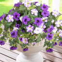 2PCS Artificial Fake Flowers Plants for Outdoors Decoration No Fade Faux Petunias UV Resistant Realistic Silk Flowers for Home Garden Balcony Yard Porch Deco (Purple White)