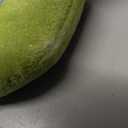 Interactive Cat Toys for Indoor Cats: Automatic Flying Bird Feather Wand Chase Exercise Enrichment Stimulation, USB Rechargeable Durable Safe Hanging Toy for Bored Kittens Adult Multi Cat Households (White)