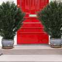 Set of 2 Large Supersize Tree - 42Inch/3.5 Foot Outdoor,Indoor Artificial Boxwood Plant Topiary Garden Torch Shaped Topiary Artificial Topiaries Bushes Potted Fake Plants Company Home Office Decor