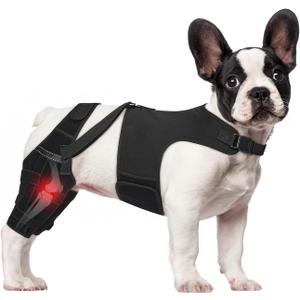 Dog Knee Brace for Torn ACL Hind Legs with Vest, Adjustable Dog Leg Brace with 4 Stabilizers, Hip Support to Reduce Pain, CCL Tear Recovery & Arthritis Ligament Injuries & Luxating Patella (X-Small)