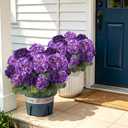 Geraniums Artificial Flowers for Outdoors, 2 Pack Potted Plants Fake Geranium Bush Realistic Fake Flowers Greenery UV Resistant Faux Flowers for Outdoor Planters Outside Gardens Front Door Indoor, Mix