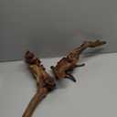 majoywoo Natural Large Driftwood for Aquarium Decor Reptile Decor, Fewer Branches 12.5-18" 2Pcs