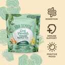 Four Sigmatic Gut Health Organic Herbal Tea | Organic Lemon Ginger Tea with Probiotics & Turkey Tail Mushroom | Instant Digestive Tea | Vegan, Gluten-Free | Lemon Ginger, 24 Servings (EXP 08/31/26)
