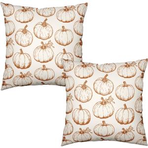 Fall Pumpkin Outdoor Pillow Covers 18x18 Set of 2 Autumn Thanksgiving Harvest Throw Pillows Case Burnt Orange White Farmhouse Fall Holiday Cushion Covers for Sofa Couch Bed Decor