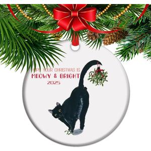 Meowy & Bright - Black Cat Lover Christmas Ornament 2025, Cat Mom Xmas Gift (C13)
