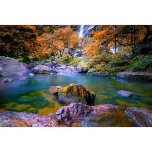 Waterfall Aquarium Background Autumn Jungle Forest Lake Stream Natural Landscape Terrarium Background Tranquil River Huge Rocks Fish Tank Background Fall Forest Theme Reptile Background 72x24in (Orange)