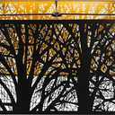 Metal Large Rectangular Lampshade For Table Lamp Floor Lamps,8"14"9" Black Outside Gold Inside Replacement Forest Rectangle Lamp Shade Spider Fitter