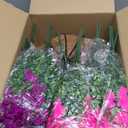2 Set Artificial Outdoor Petunias Flowers with Hanging Baskets, 24 Pcs UV Resistant Faux Petunias Flowers with Hanging Planter for Front Door Porch Spring Outside Decor (2, RoseRed,RedViolet)