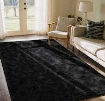 Rtizon Shag Area Rug for Bedroom, 4x6 Feet Fluffy Rugs for Girls Boy's Bed Bedside, Plush Carpet with Non-Slip Bottom for Living Room Office Dorm Nursery Room, Black