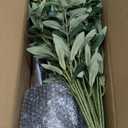 Olive Tree, 6FT Tall Faux Olive Tree with Moss and Planter, Olive Trees Artificial Indoor with Realistic Wood Trunk and Lifelike Fruits, Fake Tree for Home Office Living Room Decor (5ft 10in)