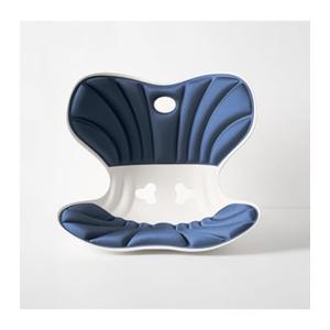Ergonomic back support office chair cushion, back cushion for posture correction, suitable for long sitting to relieve low back pain - back posture corrector (blue, Large size-（19inch*16inch）)
