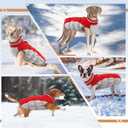 Small Dog Coat,Dog Jackets for Small Dogs,Warm Winter Jacket, Puppy Coat with Harness Built in,Waterproof Dogs Jacket,Puppy Cold Weather Coats,Pet Winter Clothes Snowsuit Shih Tzu Bichon,Red