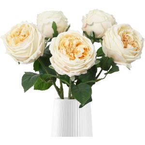 IPOPU 5PCS Real Touch Austin Roses Champagne Flowers Peony Artificial Flowers Fake Roses with Stems for Wedding Bouquet Party Home Decor(Champagne)