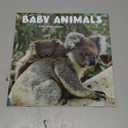 TURNER PHOTOGRAPHIC Baby Animals 12x12 Photo Wall Calendar (26998940006)