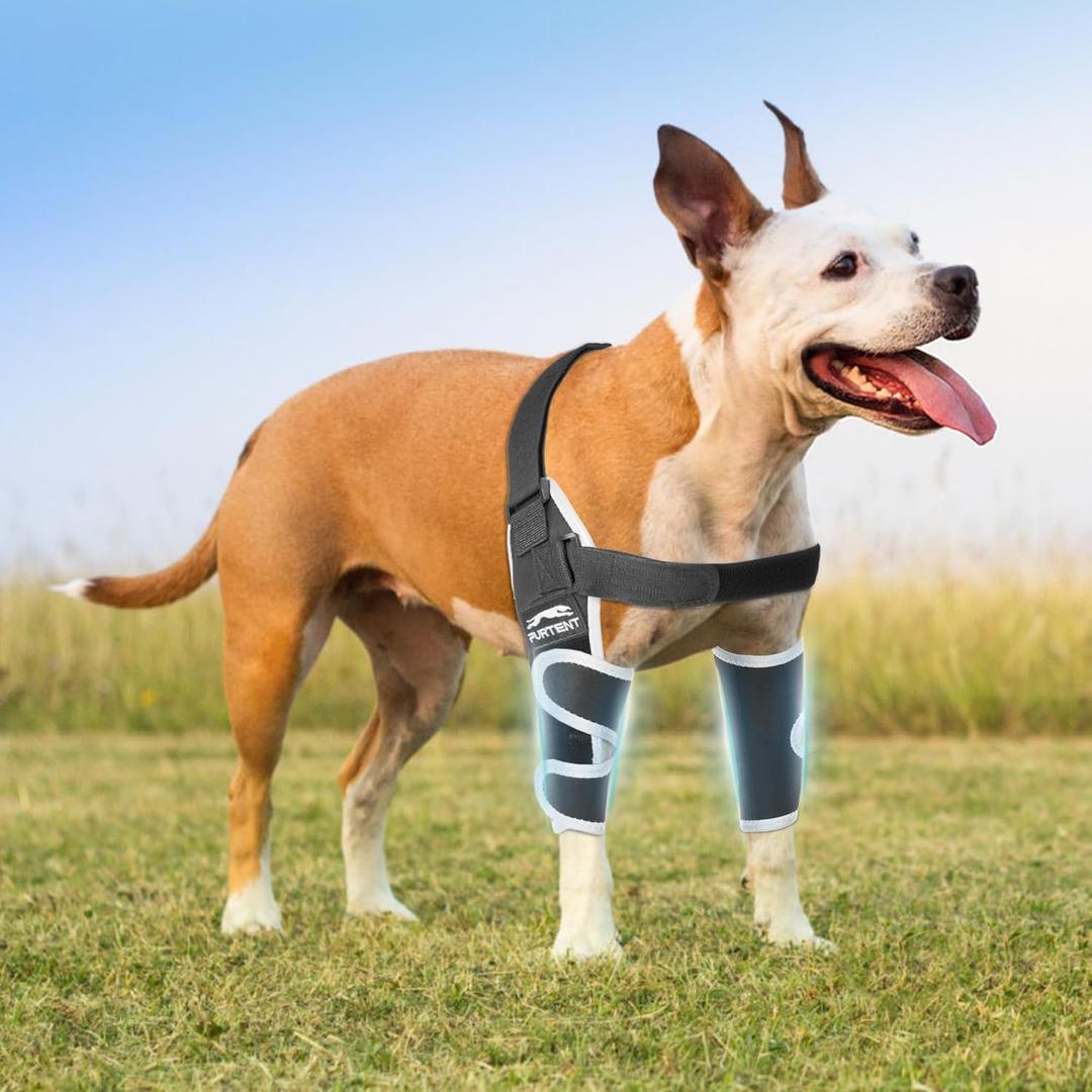 Dog Elbow Protector for Canine Elbow Dysplasia - Offers Elbow Warm and Stable, Reflective Pet Recovery Suit Taper Collar Alternative, Pet Wounds Prevent Licking, M