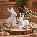 Set of 2 White Frosted Rustic Easter Bunny Figurines - Distressed Resin Rabbit Statues for Farmhouse Home Decor - Vintage Spring Bunny Ornaments for Tabletop, Mantel & Shelf Display