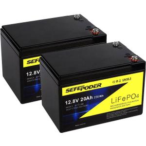 12V 20Ah Lithium LiFePO4 Deep Cycle Battery (2 Pack), 4000 Cycles Rechargeable Battery for Lighting, Power Wheel, Fish Finder with and More Built-in 40A BMS(Screw Terminal)