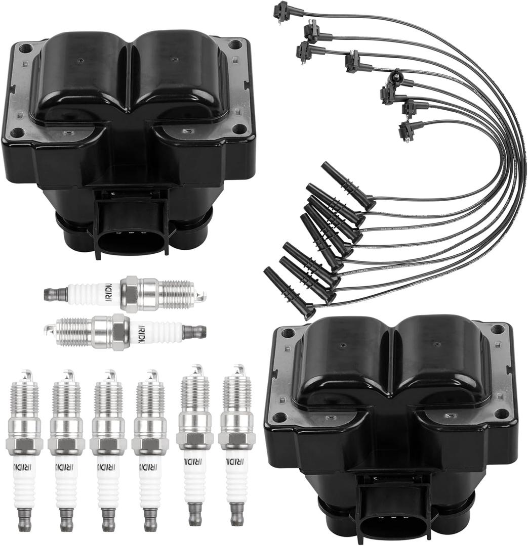 HQPASFY Ignition Coils & Iridium Spark Plugs & Wires FD487 Compatible with Ford Explorer Expedition F-150 Mustang Lincoln Continental Mercury Cougar 4.6L V8 Replace# DG454