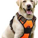 rabbitgoo Dog Harness No Pull with 2 Leash Clips, Adjustable Soft Padded, Reflective Oxford No Choke Pet Vest with Easy Control Handle for Large Dogs,Orange,L