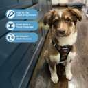 Best Pet Supplies Voyager Step-in Air Harness - All Weather Mesh, Reflective, No Pull Harness for Dogs, Cats - Secure with Hook & Loop Fastener, Buckle, Double D-Rings - Army/Black Trim, M