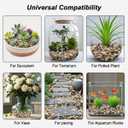 Fish Tank Rocks,Virekm River Rocks, Decorative Ornamental Pebbles Garden Landscaping Stones Gravel Filler for Home Decoration Flower Bed Fish Tank Plants Vases Succulents (10 Pounds)