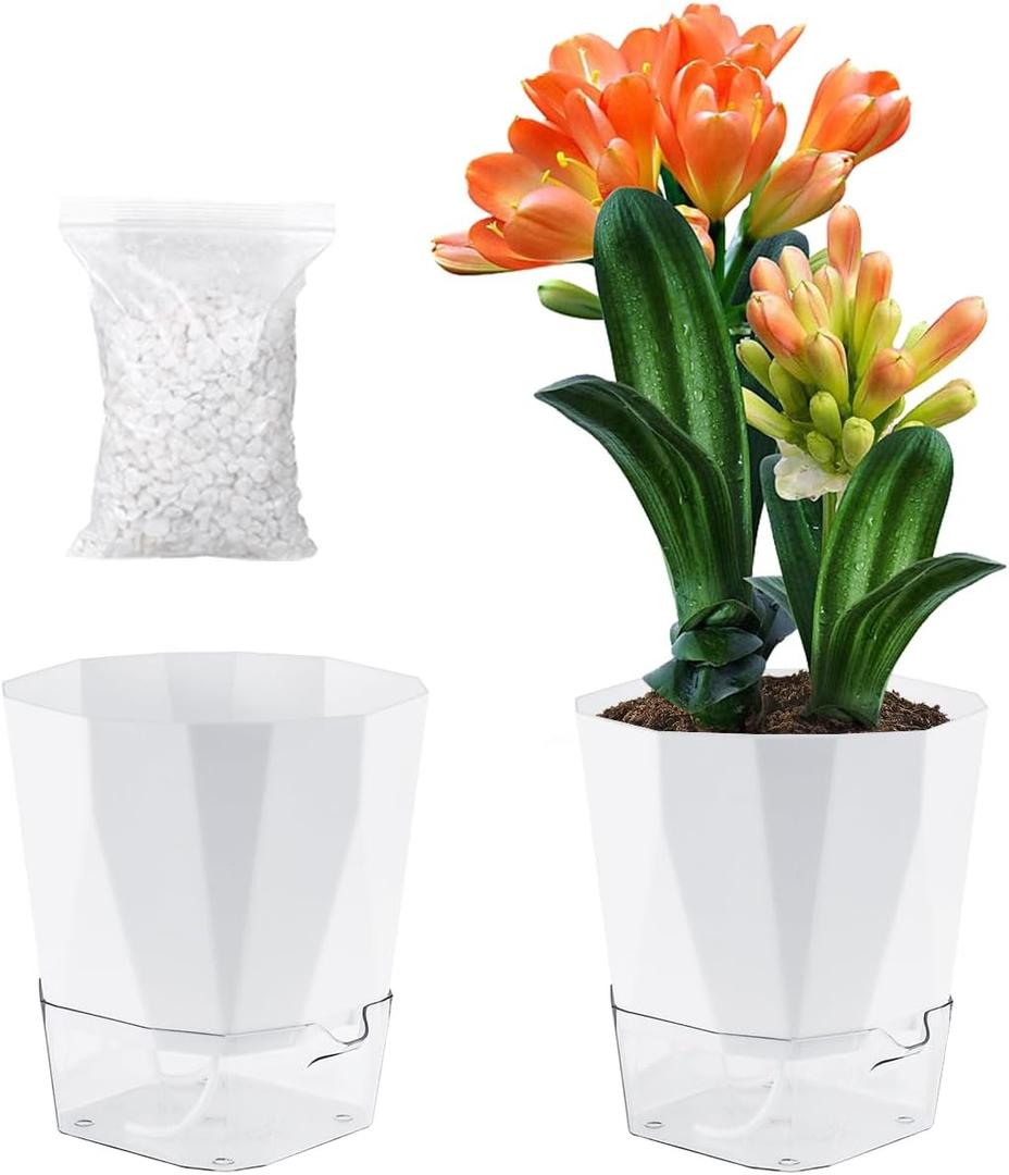 2 Pack Self Watering Pots for Indoor Plants, 8.4 Inches Self Watering Planters Large African Violet Self Watering Clear Pots for Plants Large Herb Orchid Flower Houseplant Pots, White