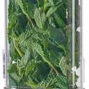 vacane Herb Keeper for Refrigerator, Fresh Herb Saver Herb Storage Containers, Cilantro Container for Fridge Asparagus Container, Dishwasher Safe