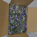 RECUTMS Vine Plant Fake Ferns Plants Large Faux Artificial Hanging Plants Wall Plants Artificial Hanging Plants Outdoors Fake Hanging Plant Greenery Vine for Outdoor Plants Decor 3 Pcs(Purple)