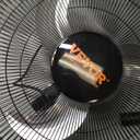 VEVOR 18 inch Wall Mount Fan Oscillating, 3-speed High Velocity Max. 4000 CFM Industrial Wall Fan for Indoor, Commercial, Residential, Warehouse, Greenhouse, Workshop, Basement, Black, ETL Listed