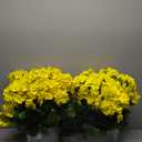 QIANYUN Artificial Topiary for Outdoors- 20 Potted Plant Fake Geraniums Bush-UV Resistant Artificial Outdoor Plant for Front Porch, Garden, Yard, Patio Decor (Yellow)