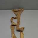 Capezio Women's Professional Fishnet Seamless Tight, Caramel, Small/ Medium