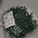 100 Pcs Plant Support Clips,Plastic Clips for Securing Plants,Tomato Vine Clips,Plant Fixing Clips,Garden Clips for Climbing Plants,Grape and Vine Vegetables (100, Green)