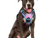 rabbitgoo Dog Harness No Pull with 2 Leash Clips, Adjustable Soft Padded, Reflective Oxford No Choke Pet Vest with Easy Control Handle for Large Dogs, Pink & Blue, L