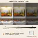 DESOOP Brass Picture Lights for Wall Hardwired LED Picture Frame Light Dimmable Painting Lights for Wall Portrait Artwork 23.62 inch 14W Warm White