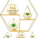 CroBlissful Hexagonal Decorative Metal Wall Shelves Include 3 Pcs Small Open Terrarium Planter Hexagonal Floating Wall Mounted Shelves for Bedroom Living Room Hallway Office Decor