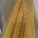 Sportspower My 1st Jump N Play Inflatable Bounce House with Large Slide & Anchors, Ages 3-8, Heavy Duty, ASTM Certified, on Included Blower