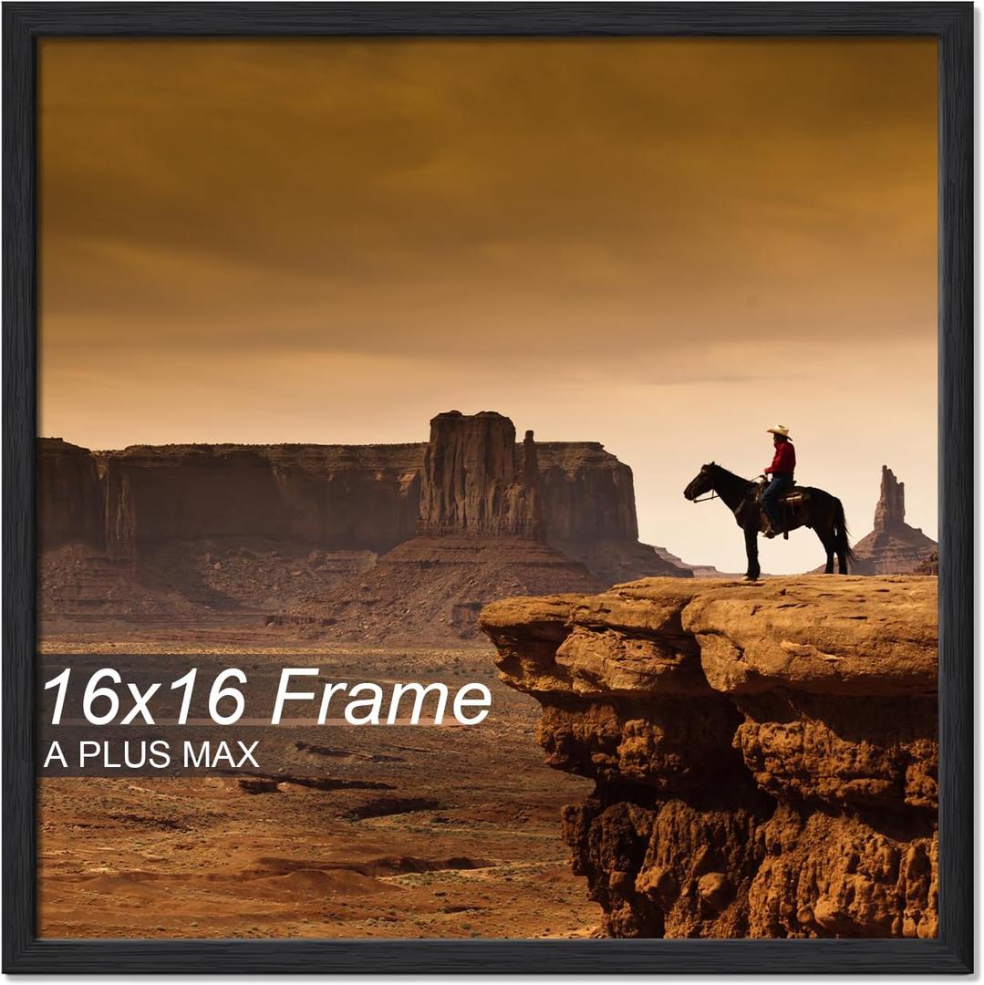 A PLUS MAX 16x16 Picture Frame Black Light Weight Wall Mount
