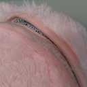 OLANLY Pink Round Rugs for Bedroom - Machine Washable, 4 ft Circle Area Rugs for Living Room, Soft and Fluffy Shaggy Carpet for Teen Girls and Boys, Nursery Rooms, Dorms, Home Decor Aesthetic