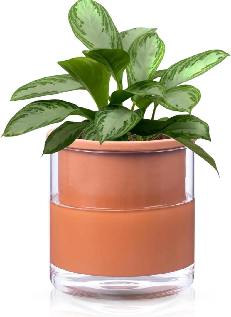 African Violet Pots, 6 Inch Self Watering Pots for Indoor Plants, Terracotta Clay Pot with Glass Reservoir, Easy Plant Self Watering Planter,Plant Pot with Absorbent Inner Pot for Flower