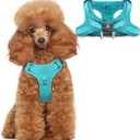 Dog Harness Step in Dog Vest Harness, Reflective Adjustable Puppy No Pull Harness Breathable Soft for Small and Medium Dogs Cats, Ocean Blue, XS