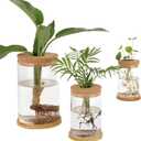 5-7 Inch Small Medium Large Plants Propagation Station - Set of 3 Propagation Vases for Indoor, Glass Plant Containers with Cork and Wooden Tray