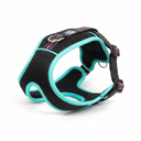 Rabbitgoo Dog Harness No Pull with 2 Leash Clips, Adjustable Soft Padded, Reflective Oxford No Choke Pet Vest with Easy Control Handle for Large Dogs, M