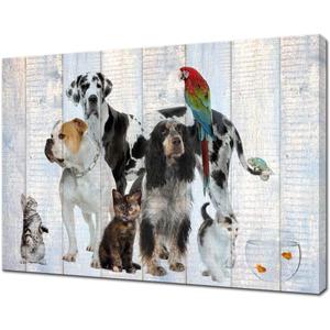 Artsbay Dog Wall Art Animal Painting Pictures Cat Wall Decor for Living Room 24x36inches