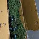 National Tree Company 6 ft Unlit Dunhill Fir Artificial Full Christmas Tree, 1,430 Tips, Includes Stand, Green