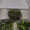 Der Rose 3 Pack Mini Potted Fake Plants Artificial Plastic Eucalyptus Plants Topiaries for Home Office Desk Farmhouse Shelf Room Bathroom Decor(Sage Green)