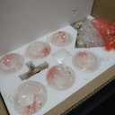 classy leaves Chandeliers for Dining Rooms, 28'' Gold Globe Chandeliers, 6-Light Modern Pendant Lighting Fixtures with Open Glass Shades for Living Room, Kitchen and Bedroom