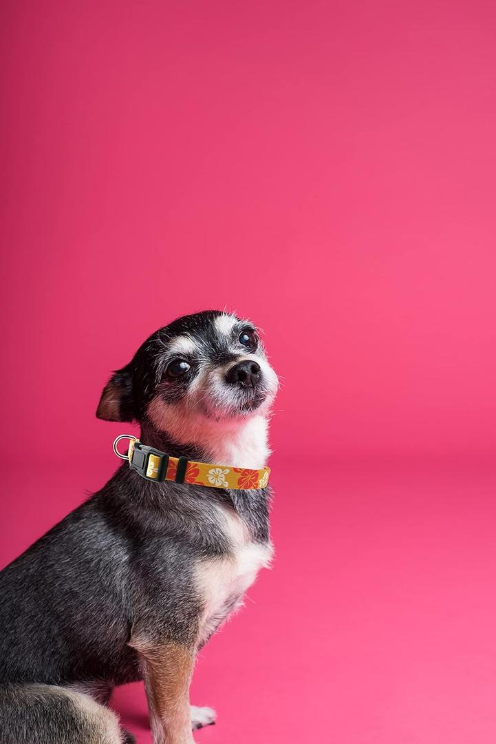 Dog Collar, Cute Camouflage Pattern, Soft and Adjustable Collar with Quick Release Buckle (XS (Neck 9-13", Width 3/8"), Camouflage Green)