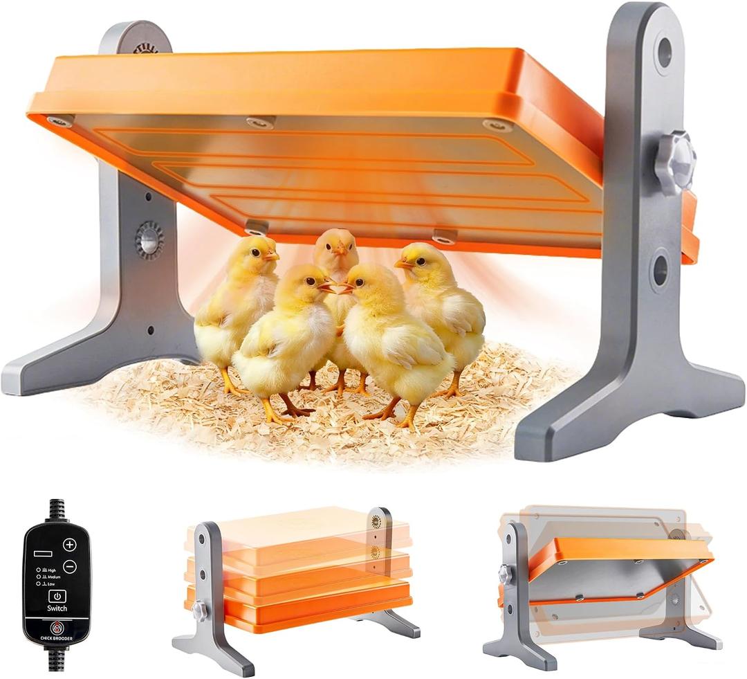 Chick Brooder Heater Plate 12" x 8" Adjustable Height & Temperature Poultry Warmer for Up to 10 Chicks, Brooder Heating Plate for Chicks and Ducklings, Orange