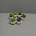 Der Rose Set of 6 Succulents Plants Artificial in Pots Small Fake Plants for Bedroom Aesthetic Living Room Office Shelf Bathroom Decor (Green)